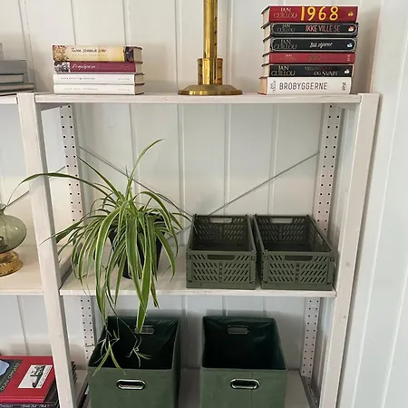 Heimdal Husmannsplass Pa Al I Hallingdal *