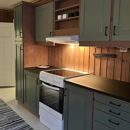 Heimdal Husmannsplass Pa Al I Hallingdal アパート