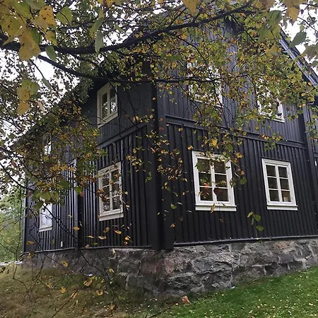 Heimdal Husmannsplass Pa Al I Hallingdal *